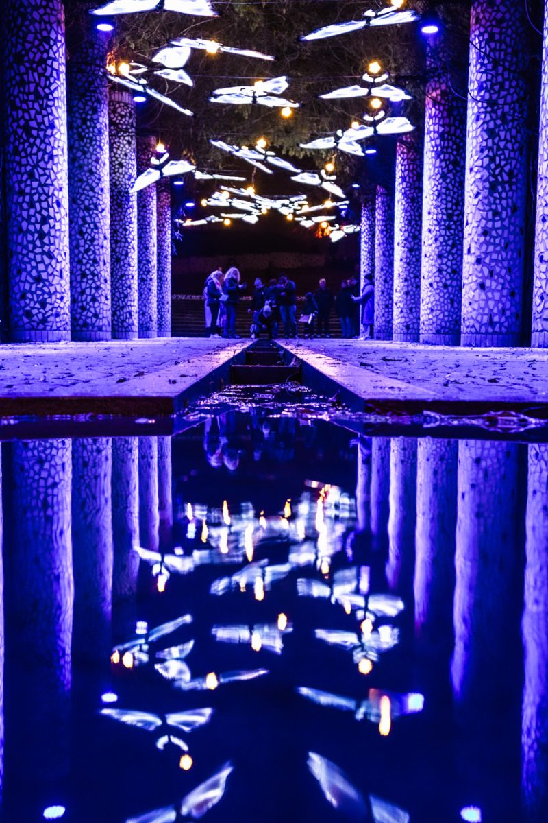 Eventfotograf i Kolding